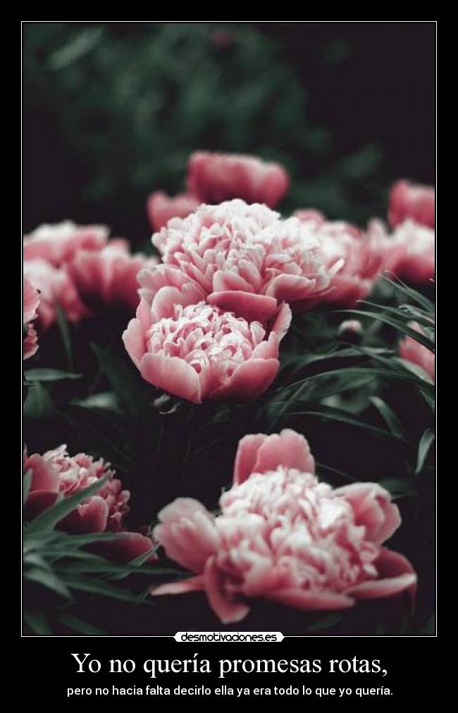 Yo no quería promesas rotas, - pero no hacia falta decirlo ella ya era todo lo que yo quería.