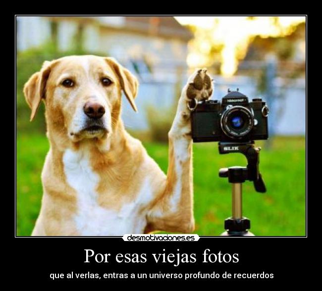 Por esas viejas fotos - que al verlas, entras a un universo profundo de recuerdos