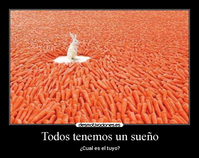 carteles sueno conejo zanahora pregunta desmotivaciones