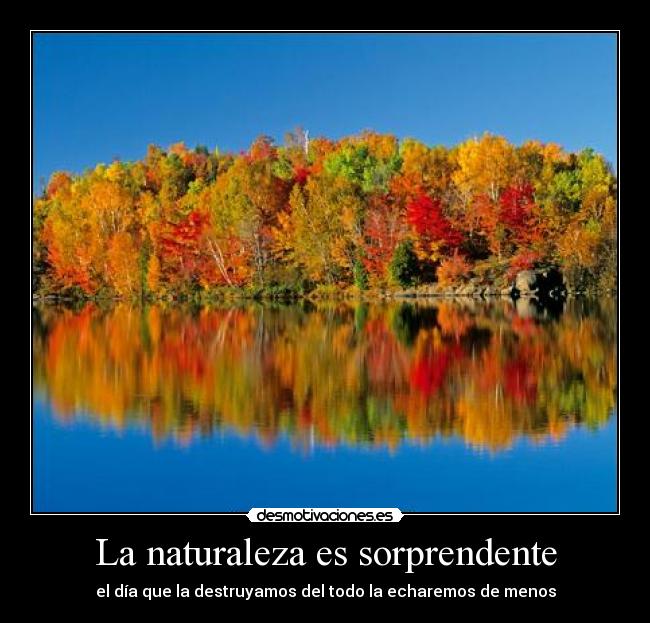 La naturaleza es sorprendente - 