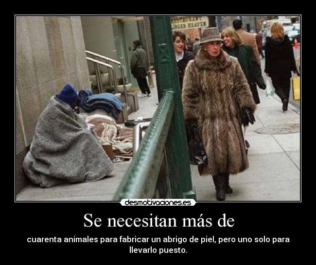 Se necesitan más de - cuarenta animales para fabricar un abrigo de piel, pero uno solo para
llevarlo puesto.