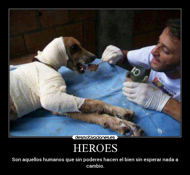 HEROES - Son aquellos humanos que sin poderes hacen el bien sin esperar nada a cambio.