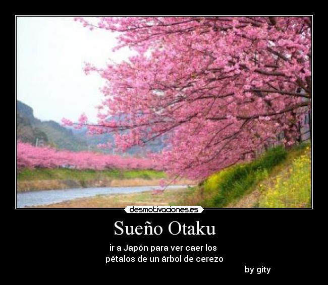 Sueño Otaku -
