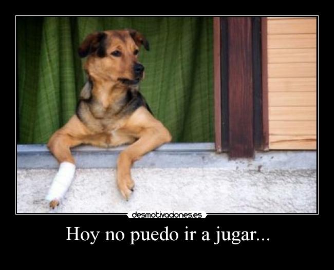 Hoy no puedo ir a jugar... - 