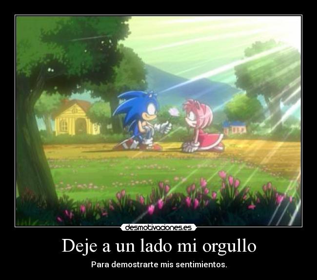 carteles sonamy amythehedgehog sonicthehedgehog sonic amyrose desmotivaciones
