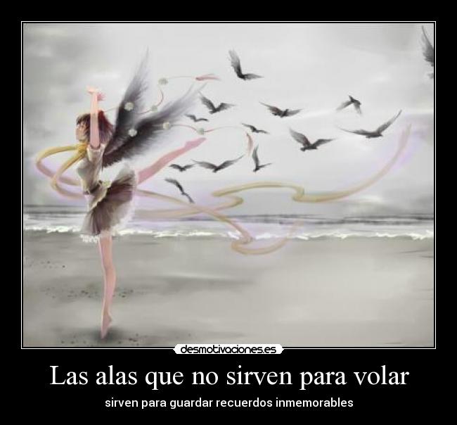 Las alas que no sirven para volar - sirven para guardar recuerdos inmemorables