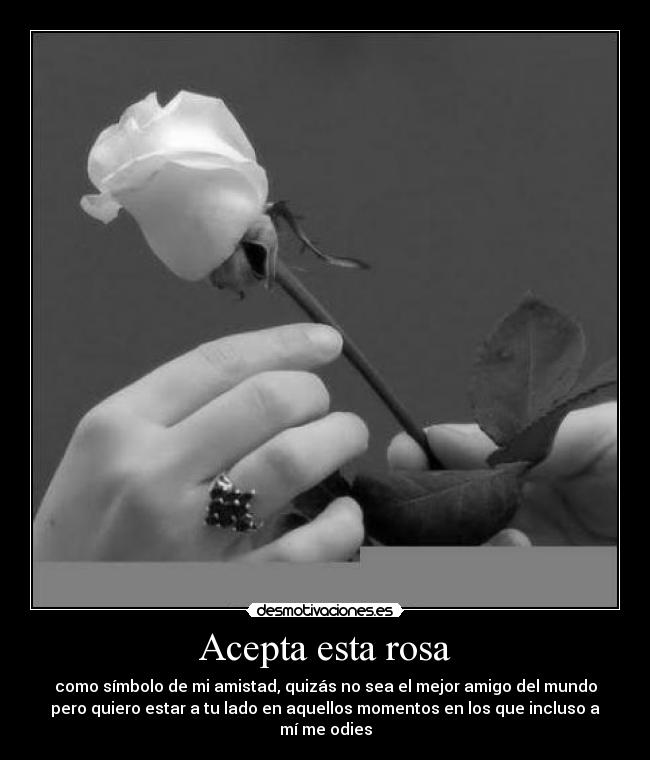 Acepta esta rosa - como símbolo de mi amistad, quizás no sea el mejor amigo del mundo
pero quiero estar a tu lado en aquellos momentos en los que incluso a
mí me odies