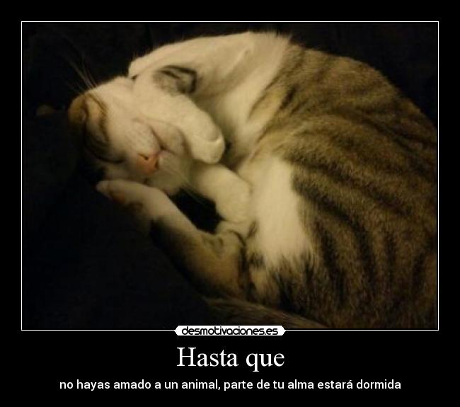 Hasta que -