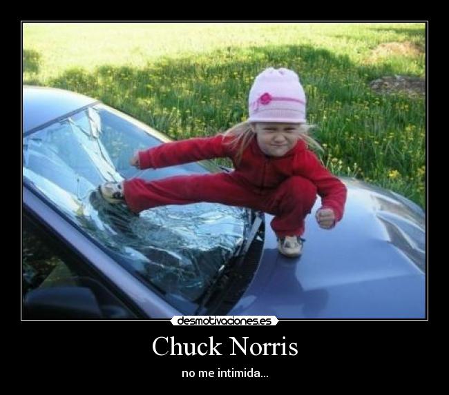 Chuck Norris - no me intimida...