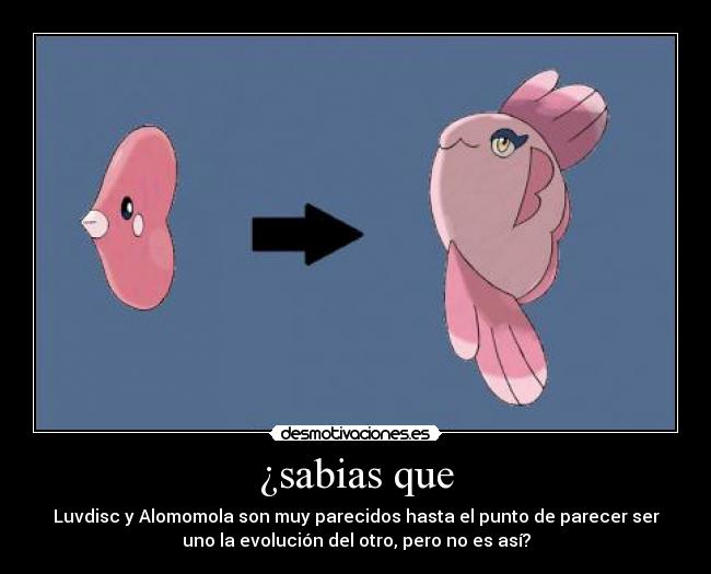 ¿sabias que - Luvdisc y Alomomola son muy parecidos hasta el punto de parecer ser
uno la evolución del otro, pero no es así?