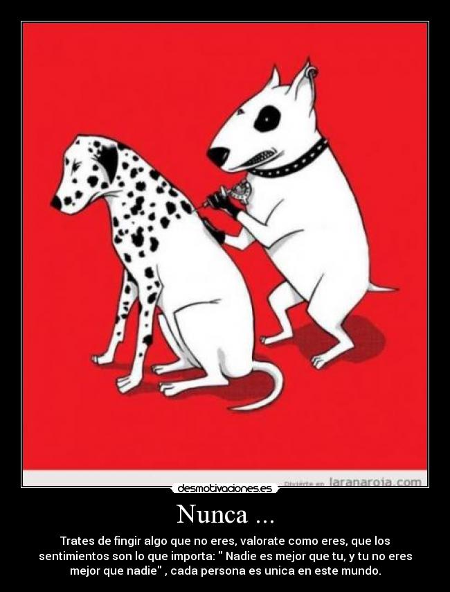 Nunca ... - Trates de fingir algo que no eres, valorate como eres, que los
sentimientos son lo que importa: Nadie es mejor que tu, y tu no eres
mejor que nadie , cada persona es unica en este mundo.
