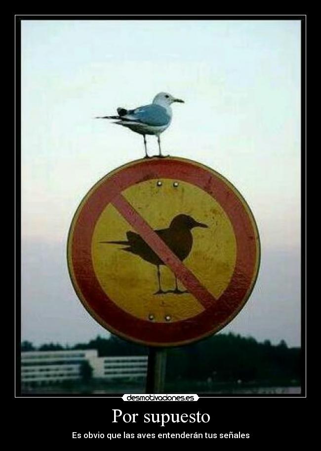 Por supuesto - Es obvio que las aves entenderán tus señales
