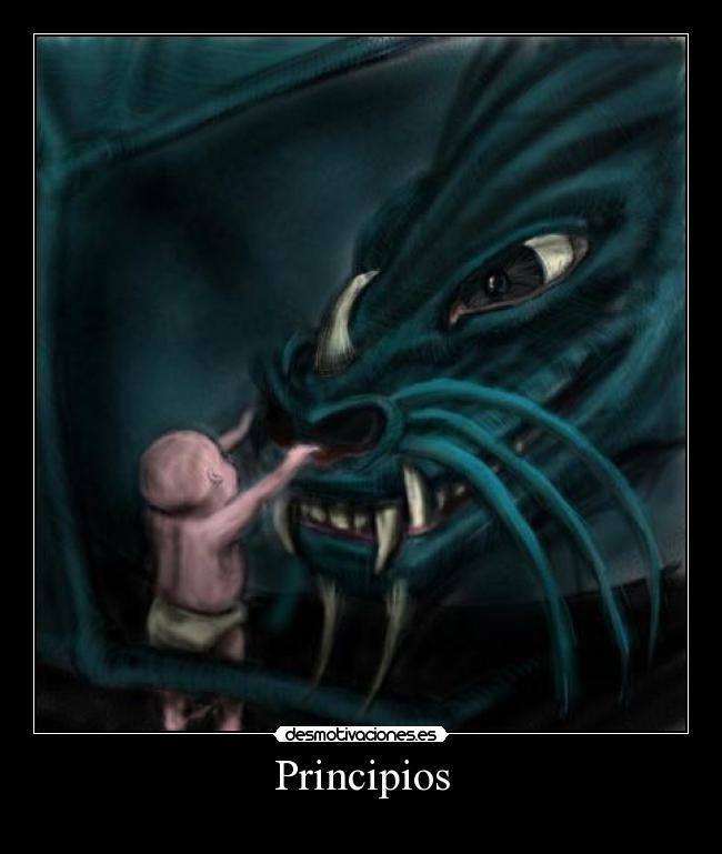 Principios -