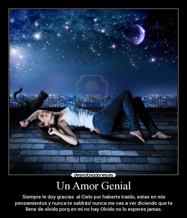 carteles amor amor genial desmotivaciones