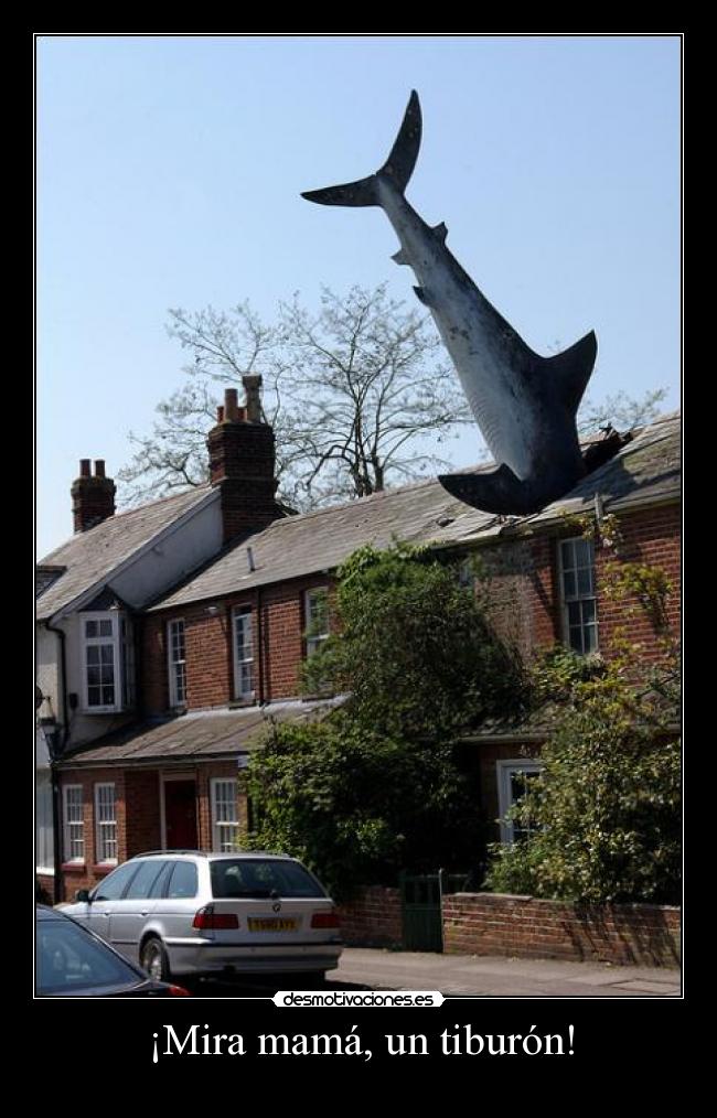 ¡Mira mamá, un tiburón! -