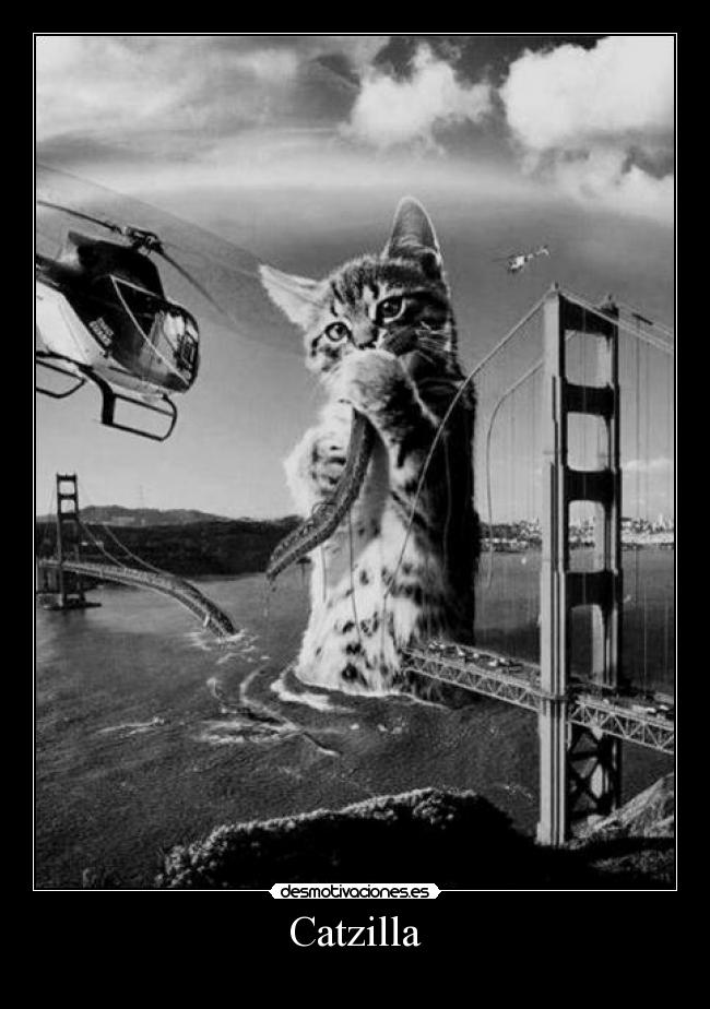 Catzilla -