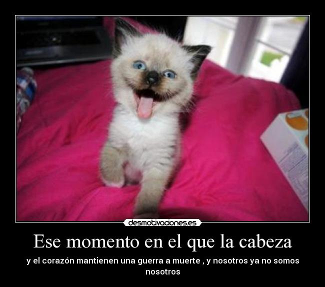 Ese momento en el que la cabeza - y el corazón mantienen una guerra a muerte , y nosotros ya no somos nosotros