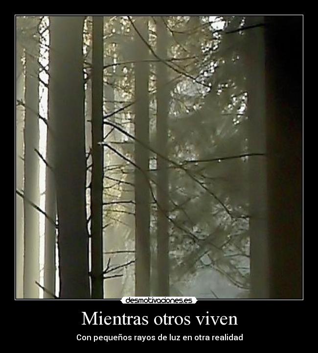 carteles super cartel desmotivaciones