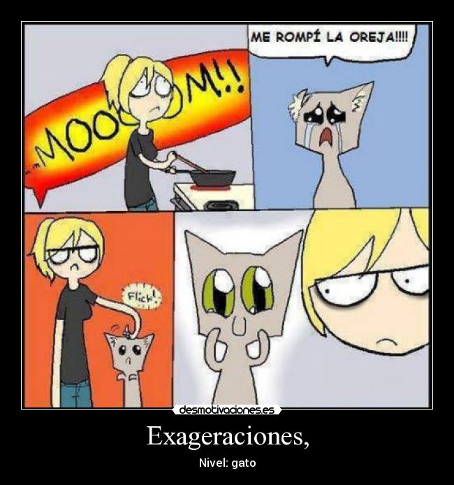 carteles lirico gatoshijo fruta exagerado lol desmotivaciones