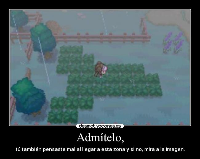 Admítelo, -