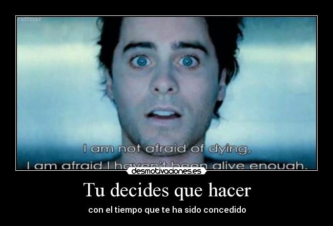 Tu decides que hacer -