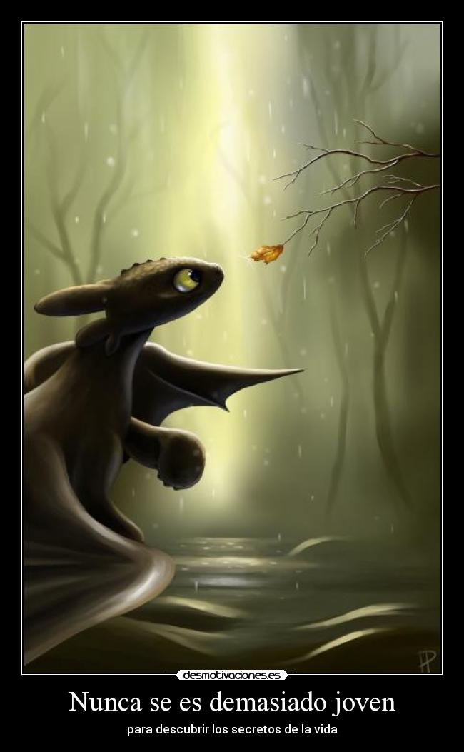 Nunca se es demasiado joven -