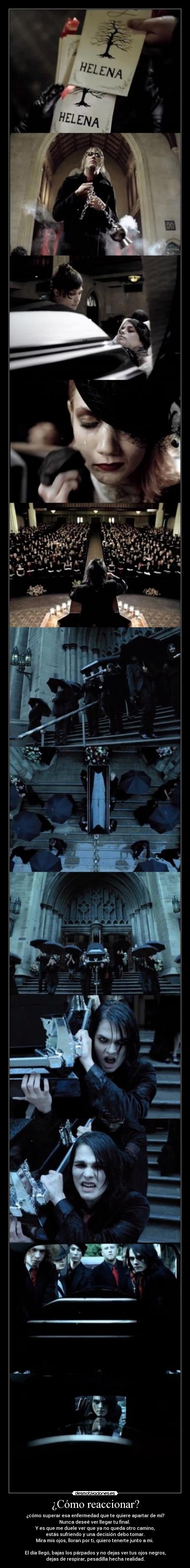 ¿Cómo reaccionar? - ¿cómo superar esa enfermedad que te quiere apartar de mí?
Nunca deseé ver llegar tu final.
Y es que me duele ver que ya no queda otro camino,
estás sufriendo y una decisión debo tomar.
Mira mis ojos, lloran por ti, quiero tenerte junto a mi.
El día llegó, bajas los párpados y no dejas ver tus ojos negros,
dejas de respirar, pesadilla hecha realidad.