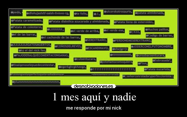 1 mes aquí y nadie - me responde por mi nick