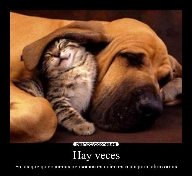 Hay veces - En las que quién menos pensamos es quién está ahí para  abrazarnos