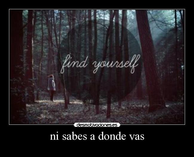 ni sabes a donde vas - 