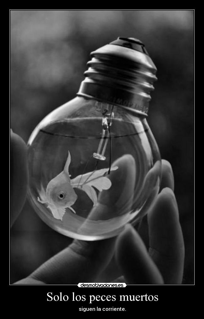 Solo los peces muertos - siguen la corriente.