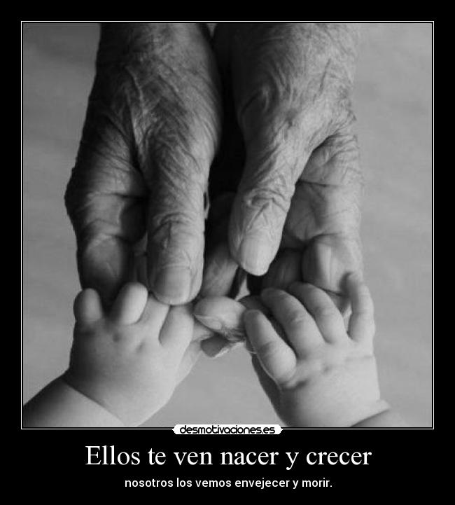 Ellos te ven nacer y crecer - nosotros los vemos envejecer y morir.