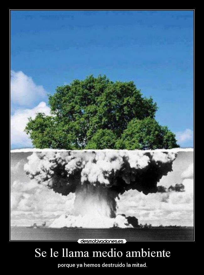 Se le llama medio ambiente - 