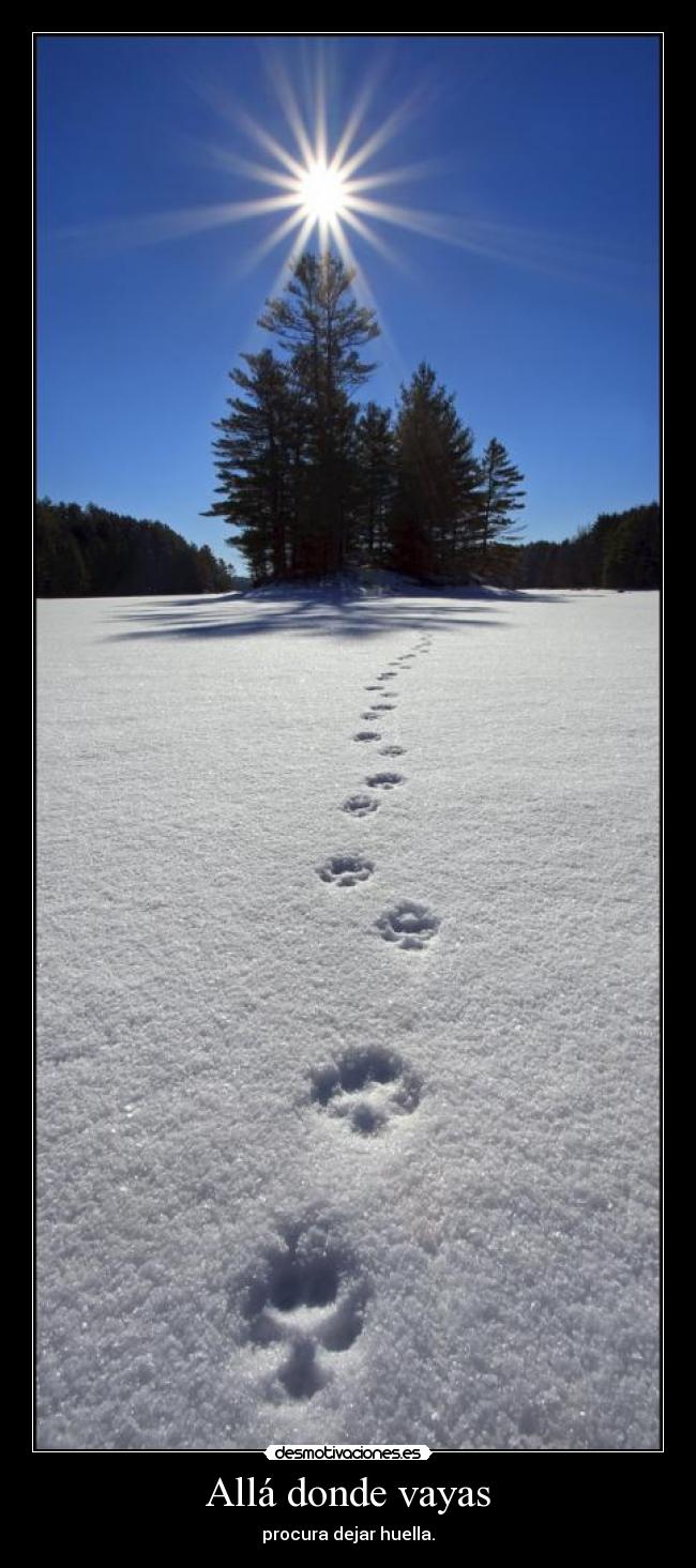 Allá donde vayas - procura dejar huella.