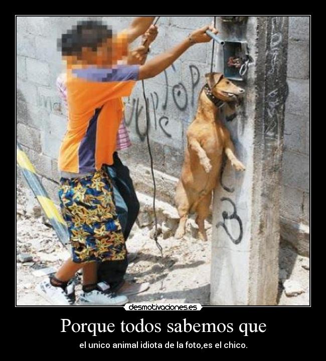 Porque todos sabemos que - 