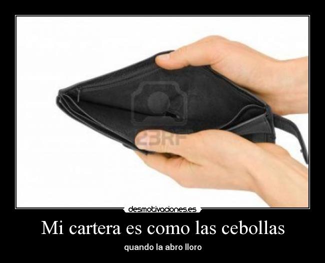 Mi cartera es como las cebollas -
