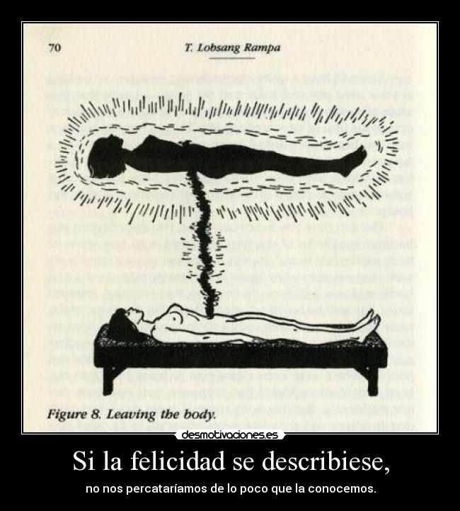 Si la felicidad se describiese, - 