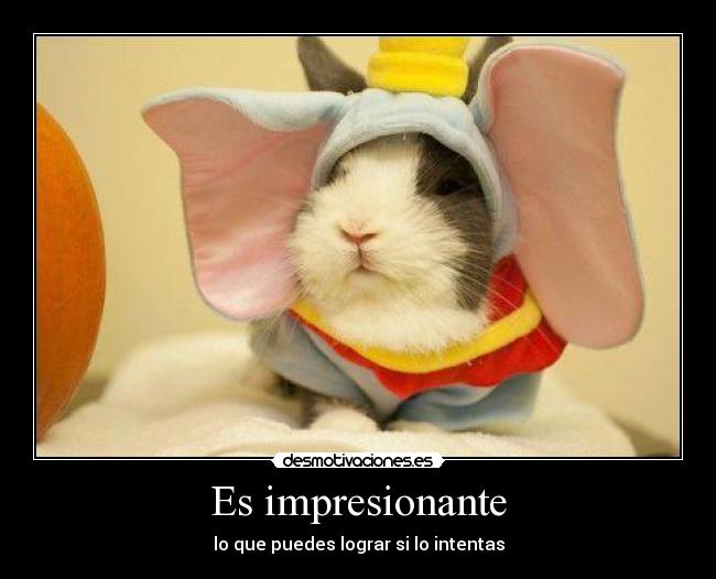 Es impresionante - lo que puedes lograr si lo intentas