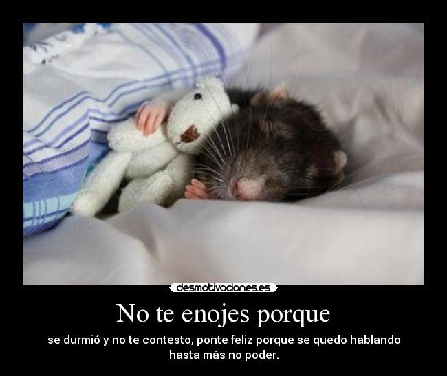 No te enojes porque -