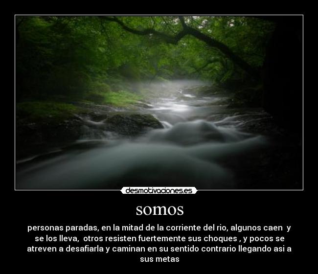 somos - personas paradas, en la mitad de la corriente del rio, algunos caen y
se los lleva, otros resisten fuertemente sus choques , y pocos se
atreven a desafiarla y caminan en su sentido contrario llegando asi a
sus metas