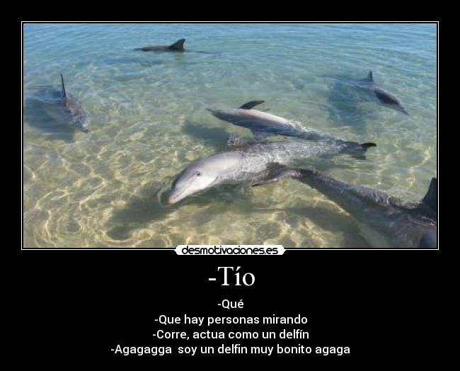 -Tío - -Qué
-Que hay personas mirando
-Corre, actua como un delfín
-Agagagga  soy un delfin muy bonito agaga