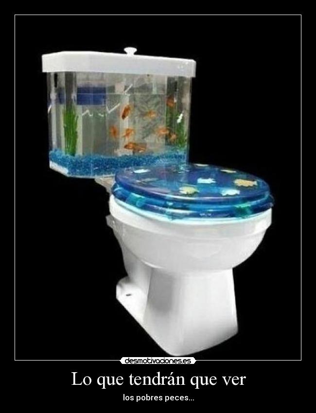 Lo que tendrán que ver - los pobres peces...