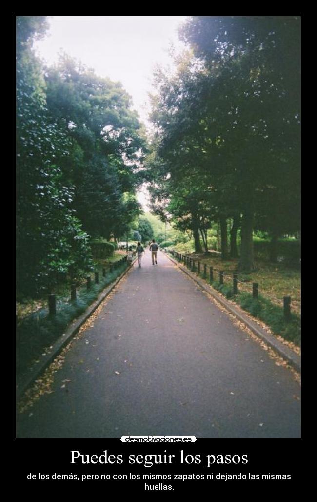 Puedes seguir los pasos -