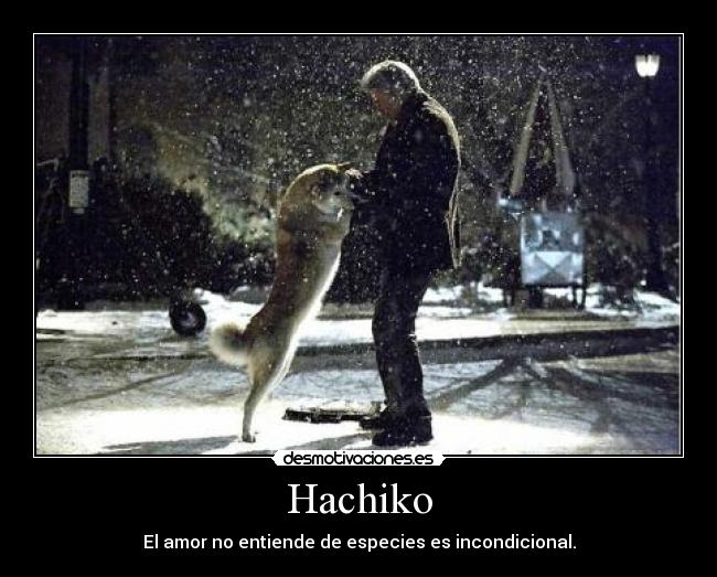 Hachiko - El amor no entiende de especies es incondicional.