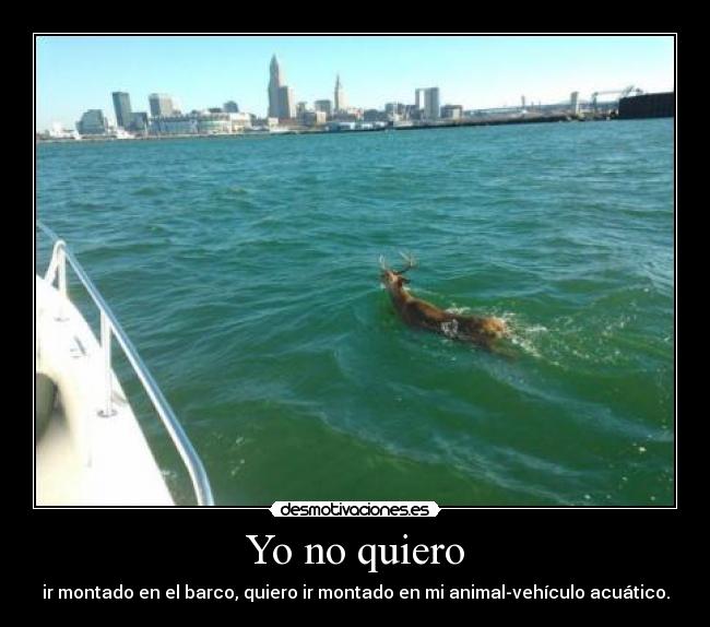 Yo no quiero - ir montado en el barco, quiero ir montado en mi animal-vehículo acuático.