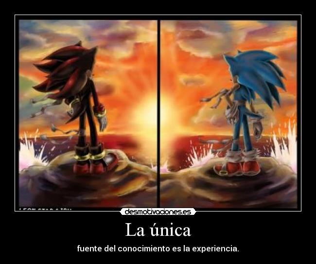 La única - fuente del conocimiento es la experiencia.