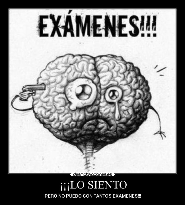 ¡¡¡LO SIENTO - PERO NO PUEDO CON TANTOS EXAMENES!!!
