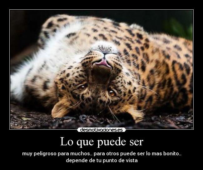 Lo que puede ser - muy peligroso para muchos.. para otros puede ser lo mas bonito..
depende de tu punto de vista