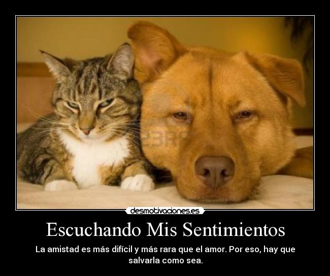 carteles sentimientos escuchando mis sentimientos desmotivaciones