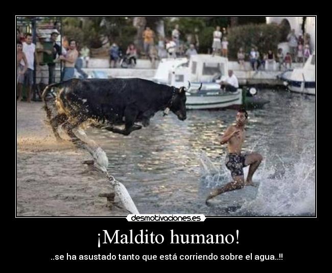 ¡Maldito humano! - ..se ha asustado tanto que está corriendo sobre el agua..!!